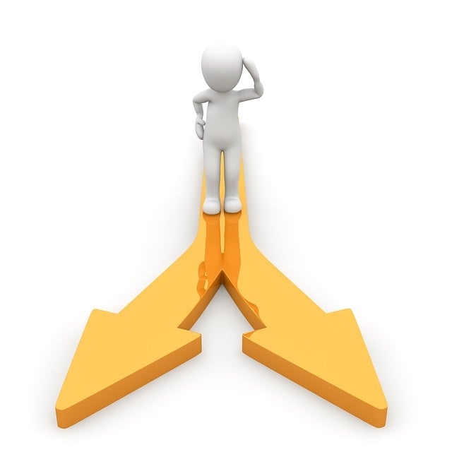arrow two choices Man facing two choices.